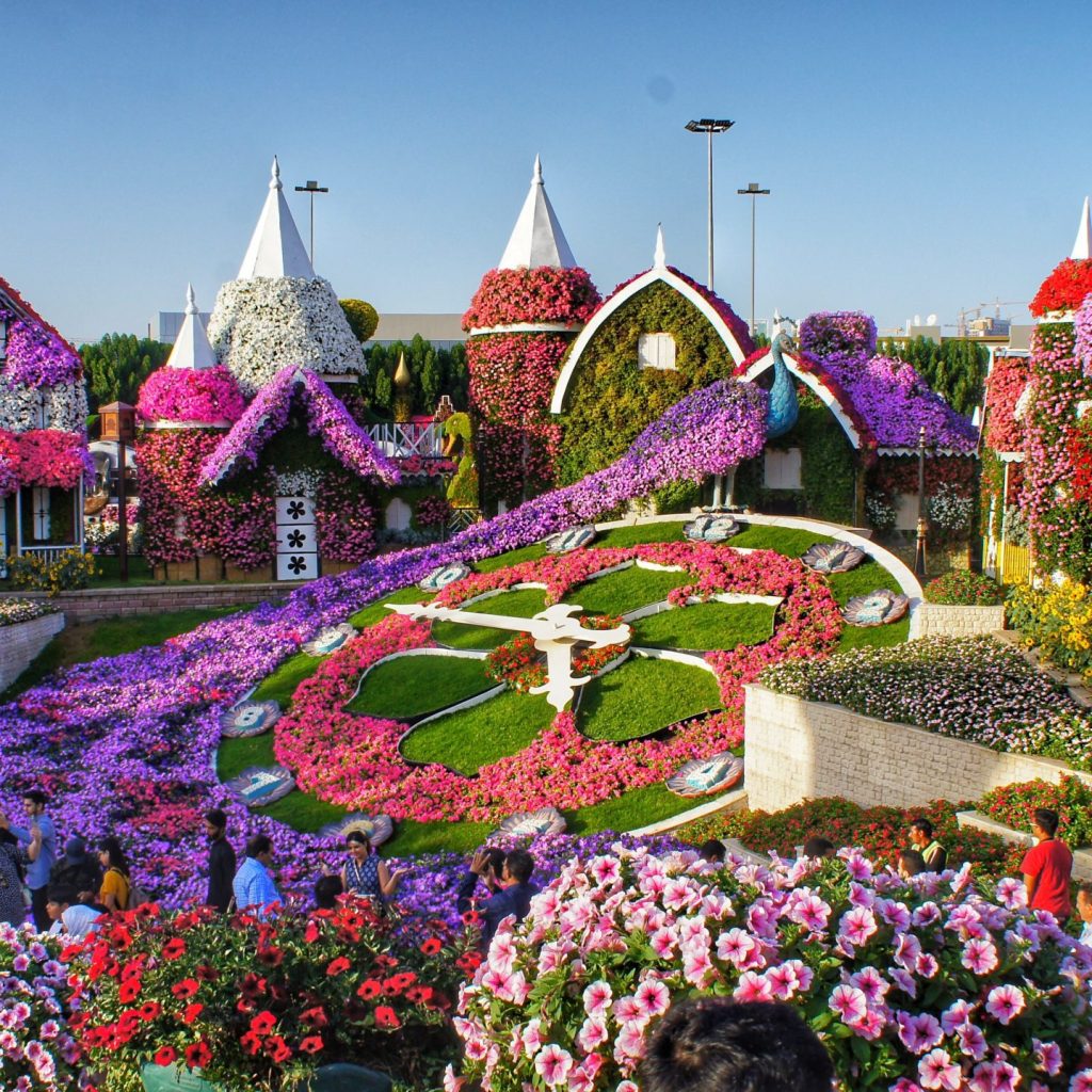 MIRACLE GARDEN